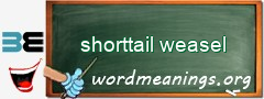 WordMeaning blackboard for shorttail weasel